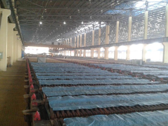 W020241121368845624023