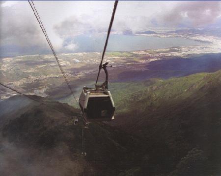 W020241119528349568667