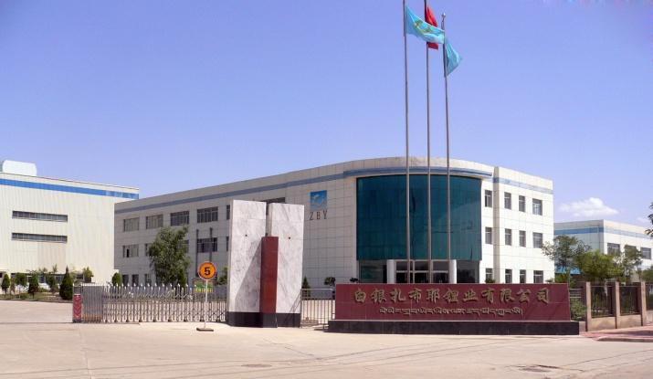 W020241119525552135772