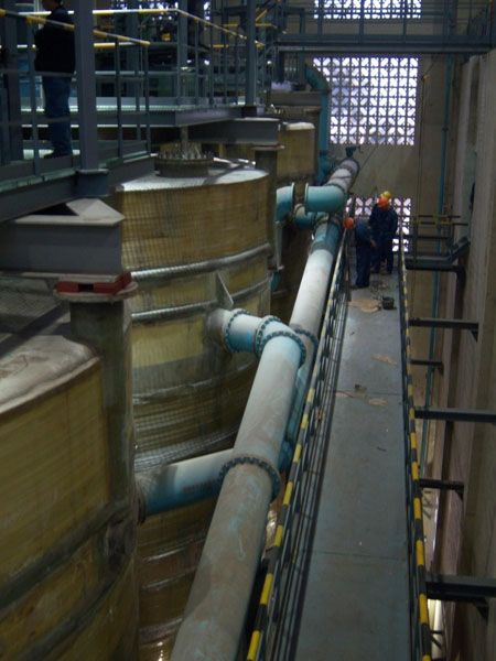 W020241119525558177489